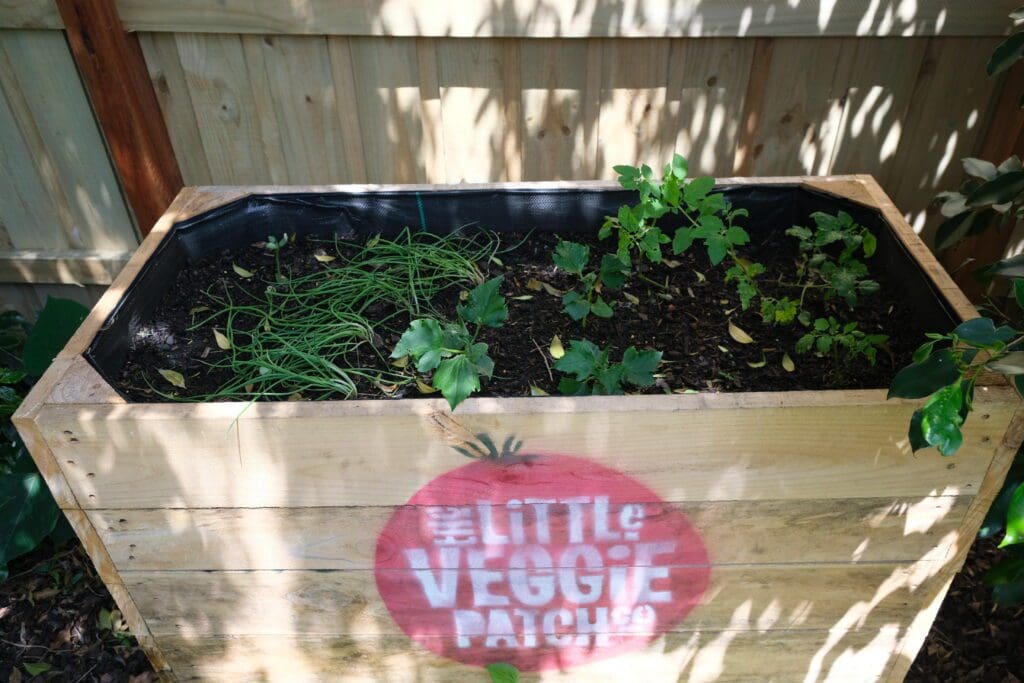 veggie patch