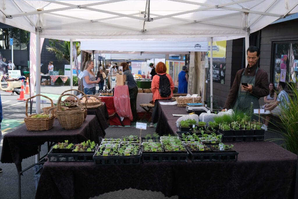 Grey Lynn Farmers Market Auckland New Zealand