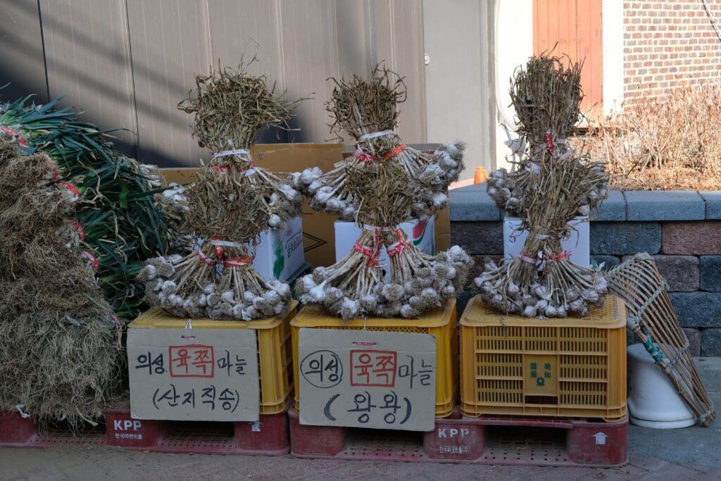 Mangwon Market Seoul South Korea