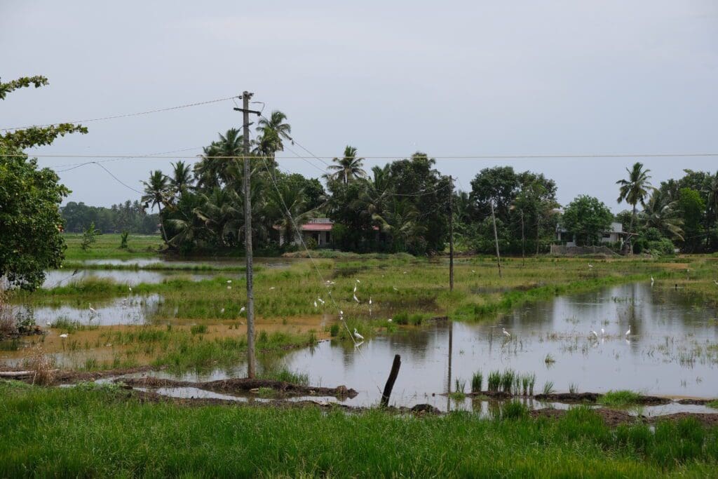 houseboat alleppey kerala