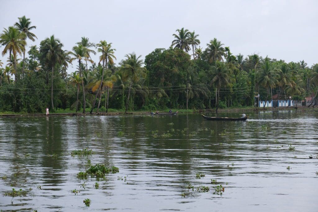 houseboat alleppey kerala