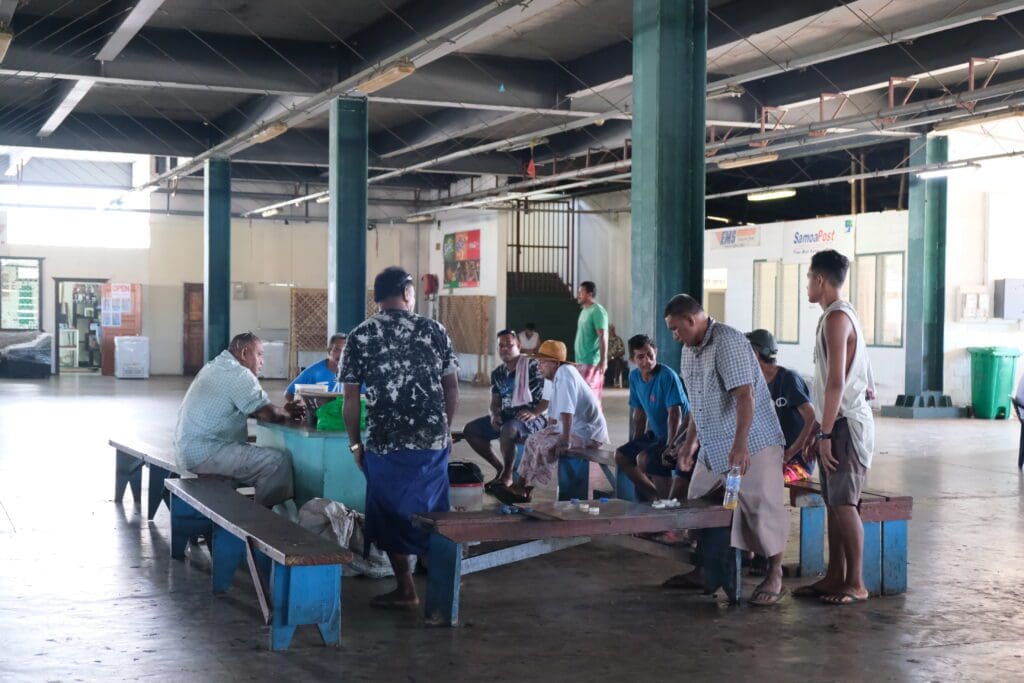 Samoan Kava Savai'i Samoa