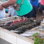 Savai'i Fish Market Samoa