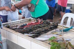 Savai'i Fish Market Samoa