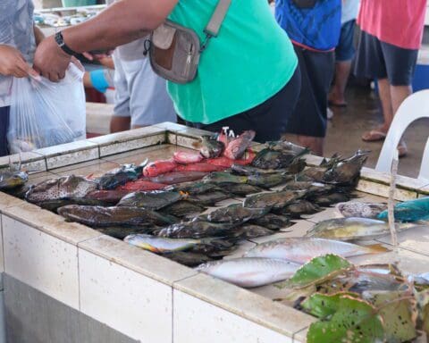 Savai'i Fish Market Samoa