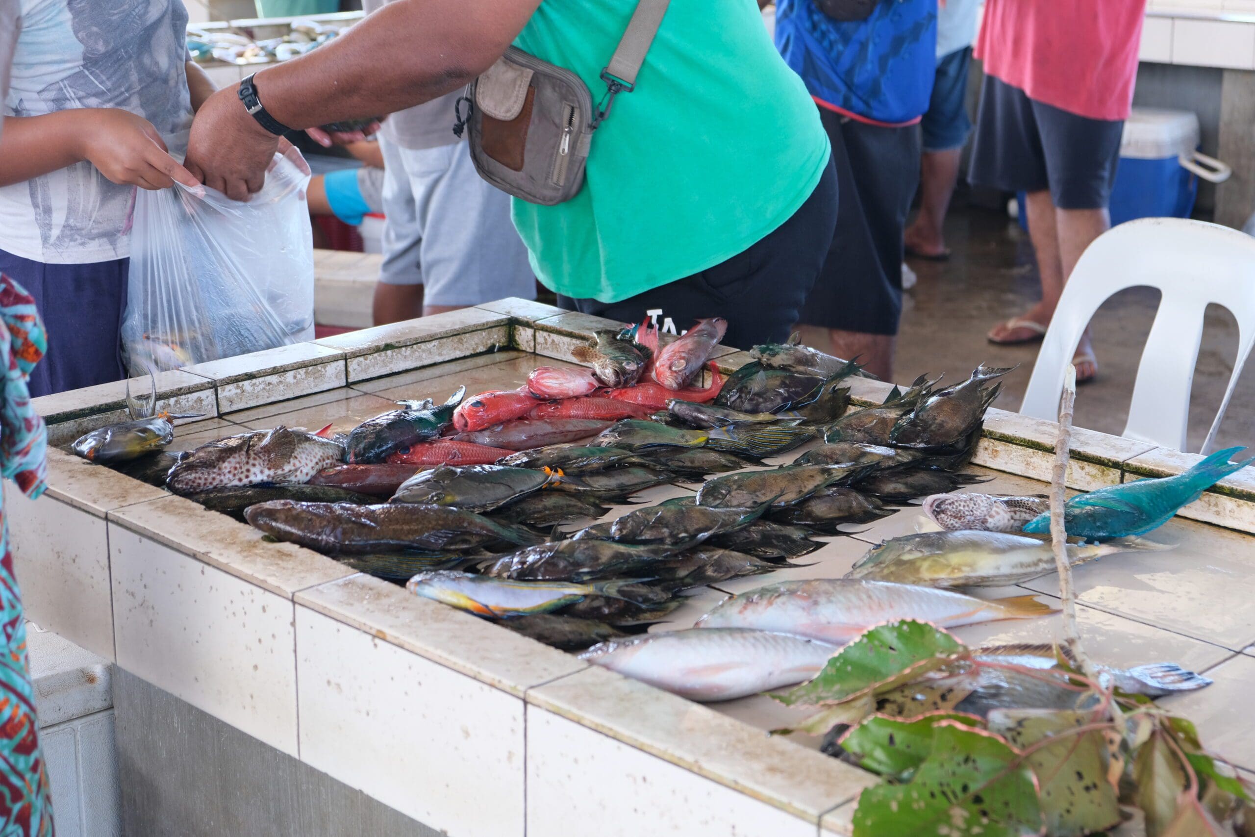 Savai'i Fish Market Samoa