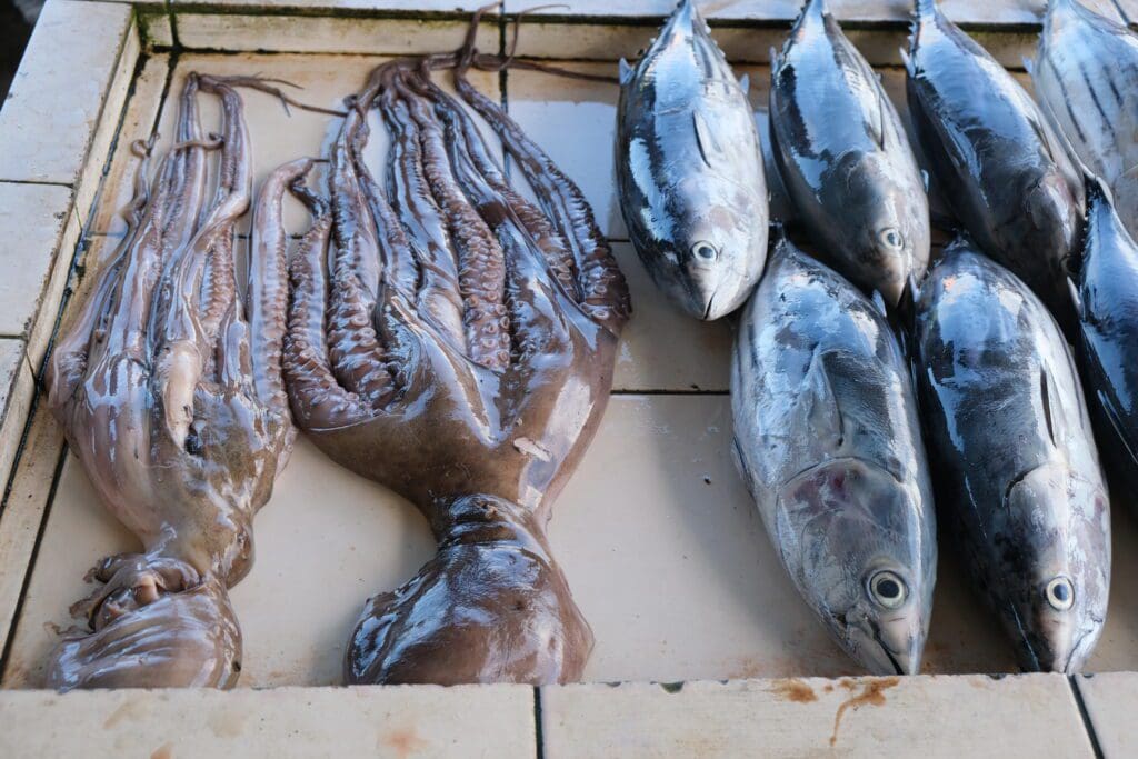 Savai'i Fish Market Samoa