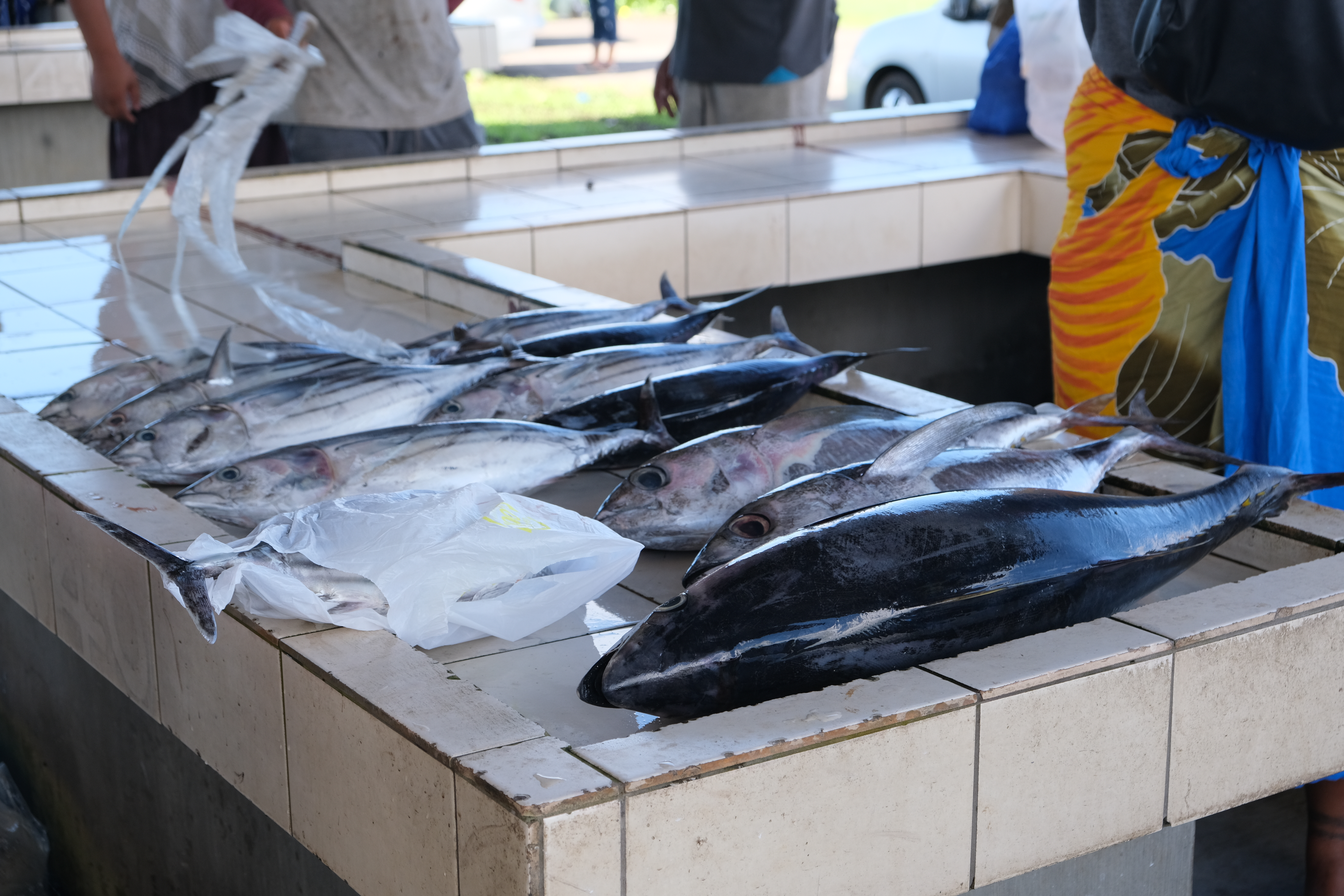 Savai'i Fish Market Samoa