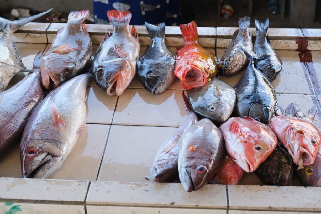 Savai'i Fish Market Samoa