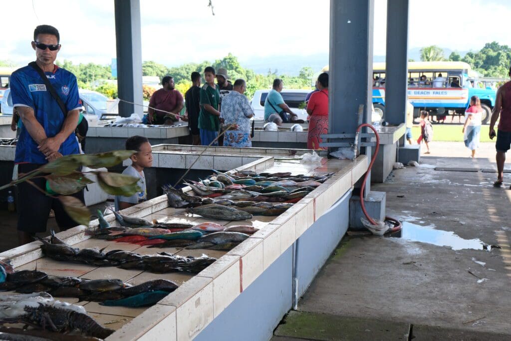 Savai'i Fish Market Samoa
