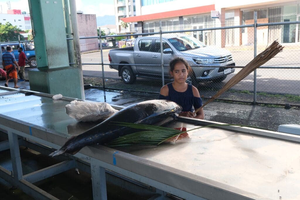 Apia Fish Market Samoa