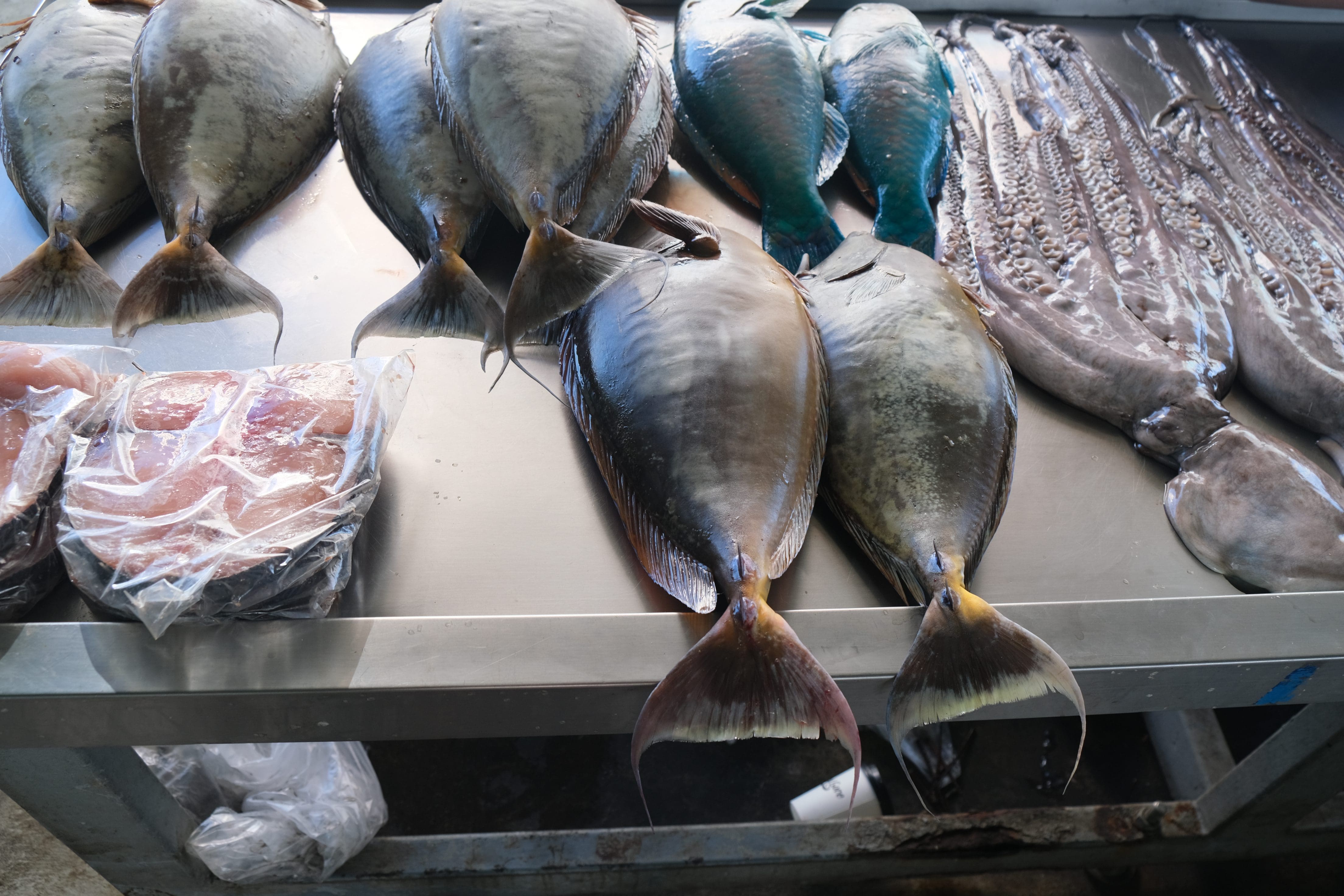 Apia Fish Market Samoa