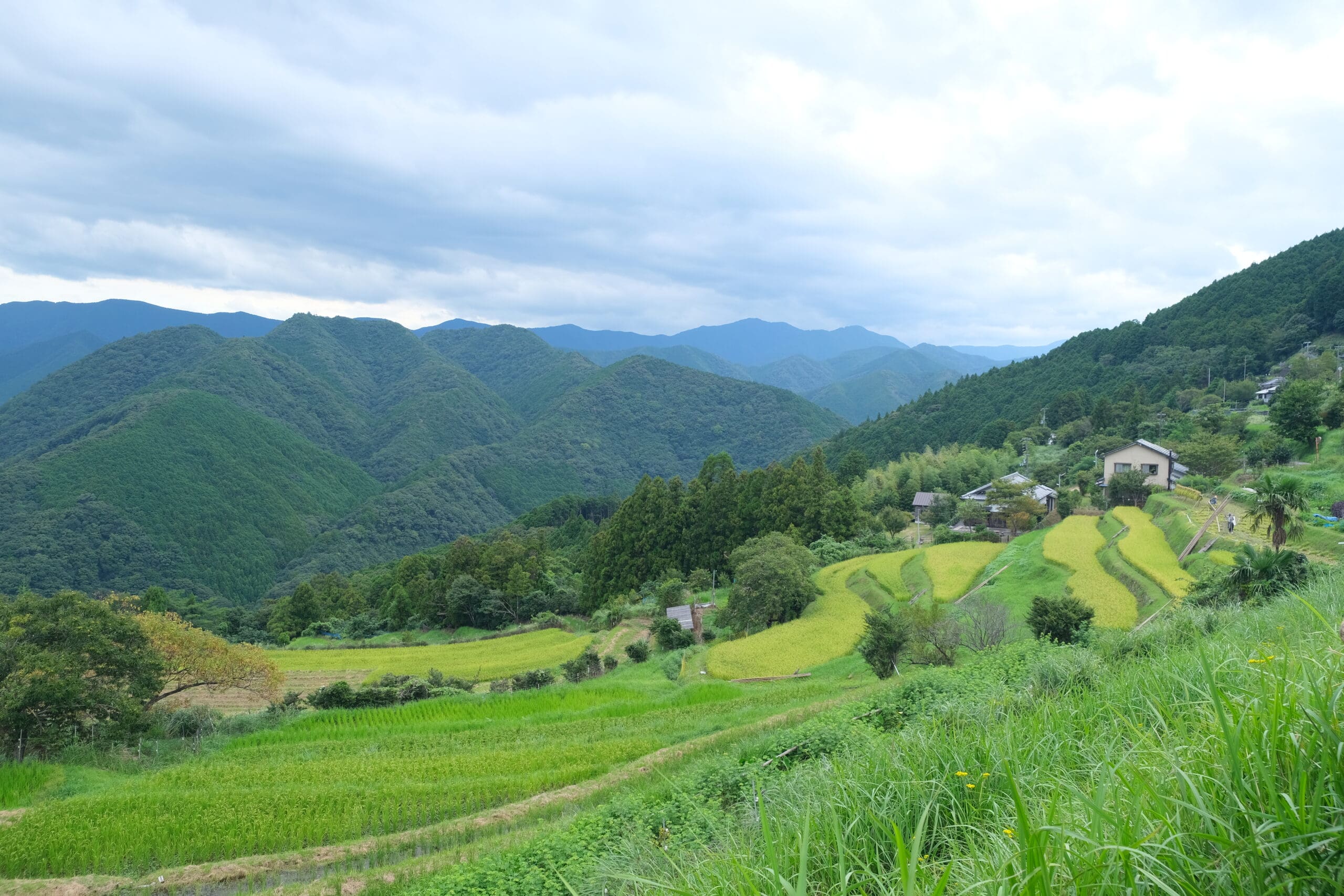 Takahara Village Kumano Kodo Pilgrimage Wakayama Prefecture