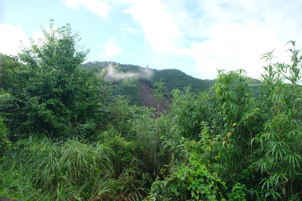 Takahara Village Kumano Kodo Pilgrimage Wakayama Prefecture