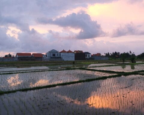 Canggu Bali Indonesia