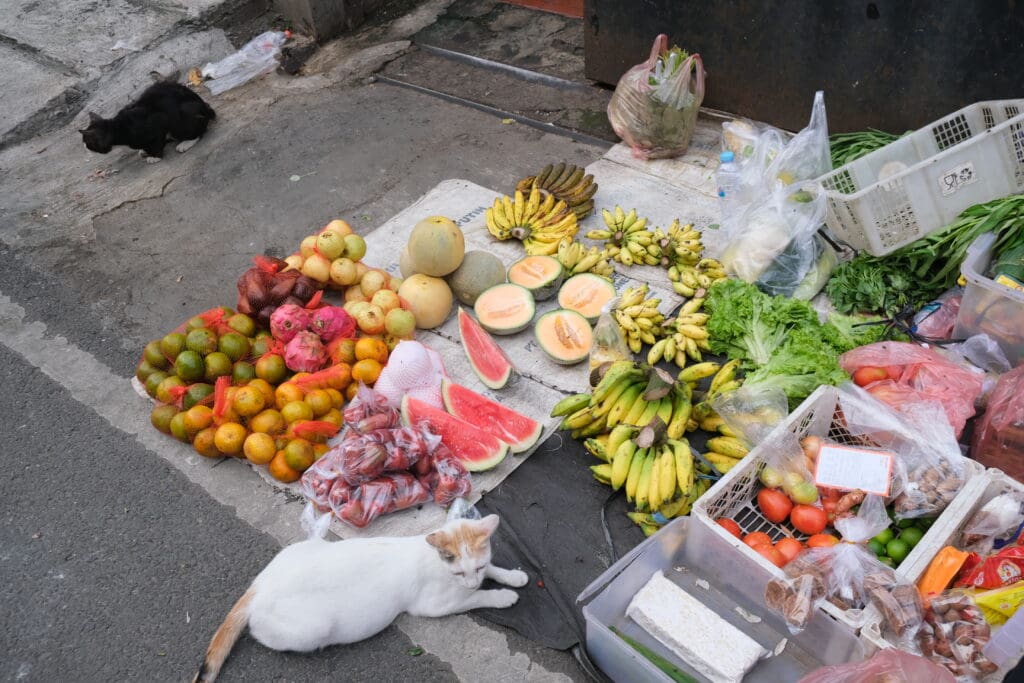 Tukang Sayur Keliling Jakarta Indonesia