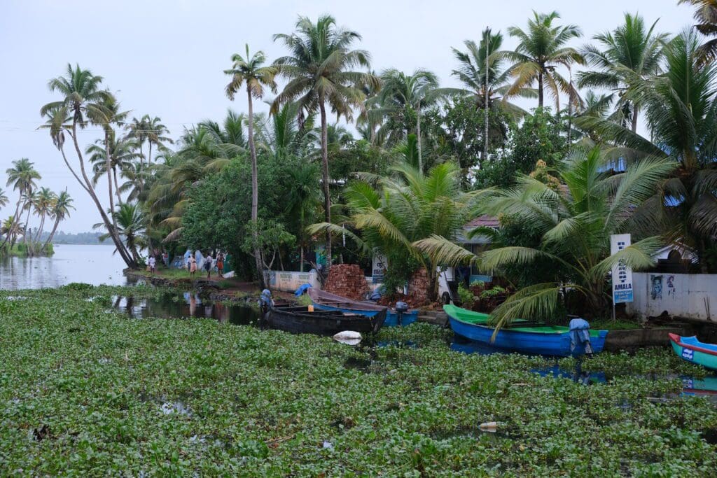 houseboat alleppey kerala