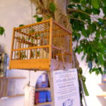 Atlantis Books Bookstore Santorini Greece