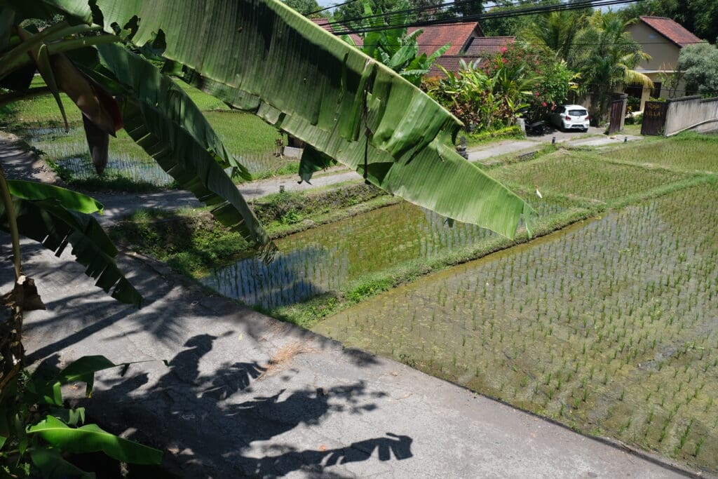 Warung Mek Juwel Ubud Bali