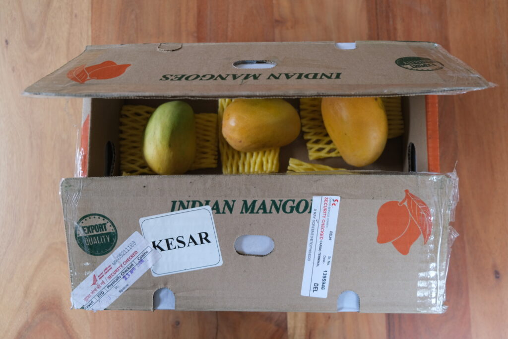 Alphonso mangoes