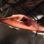 ogoh-ogoh-dark-mofo-tasmania