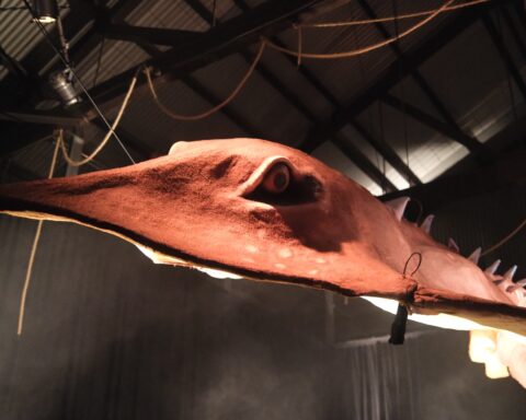 ogoh-ogoh-dark-mofo-tasmania