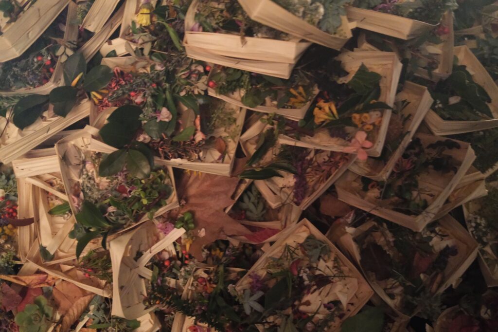 ogoh-ogoh-dark-mofo-tasmania