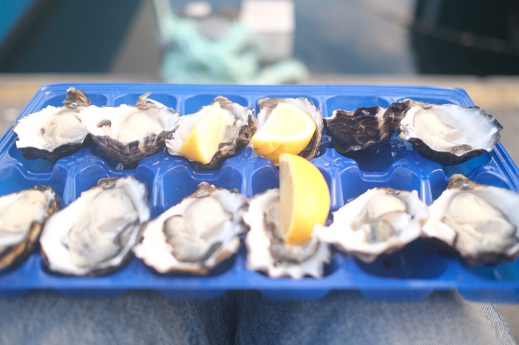 The Fish Man Oysters Hobart Tasmania