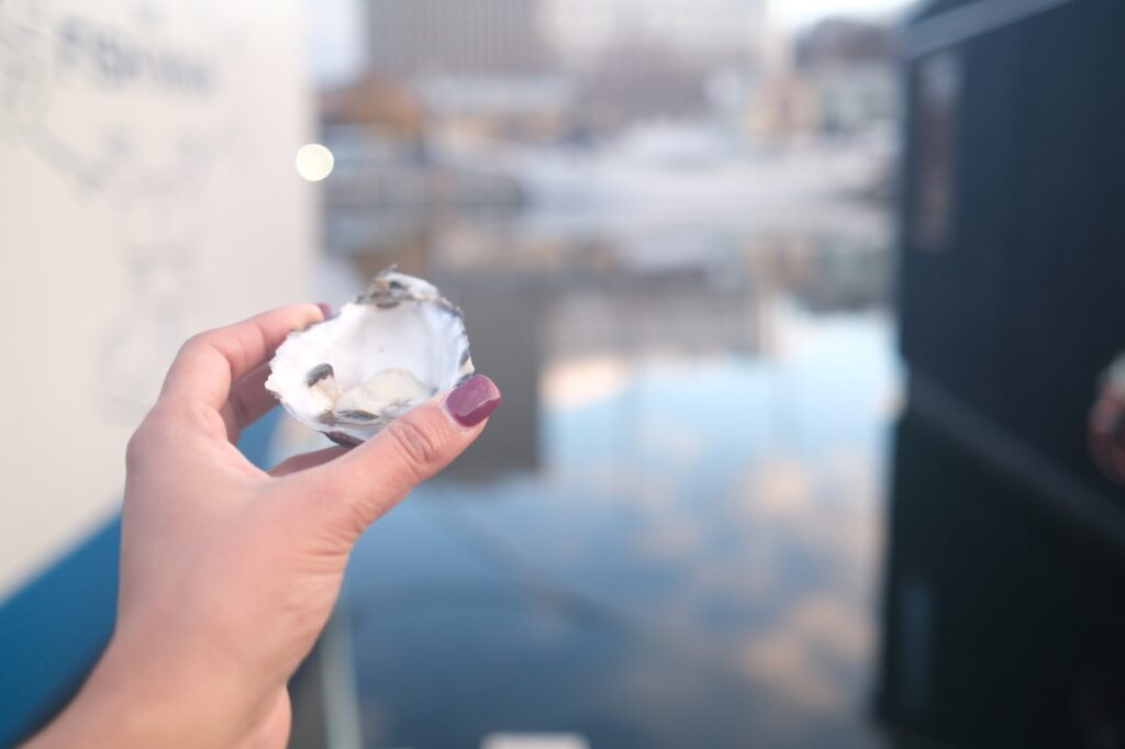 The Fish Man Oysters Hobart Tasmania