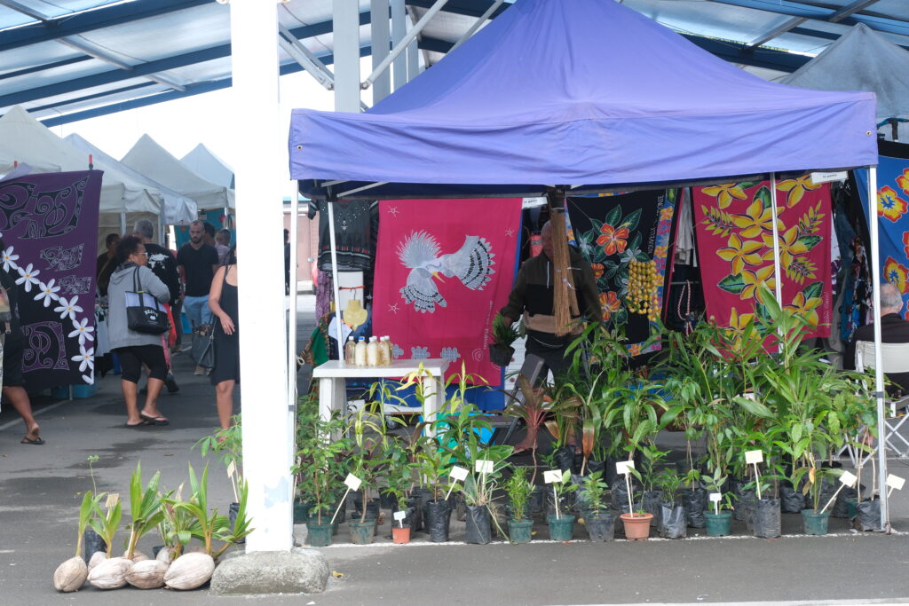 Port Moselle Market Noumea