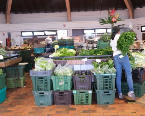 Port Moselle Market Noumea