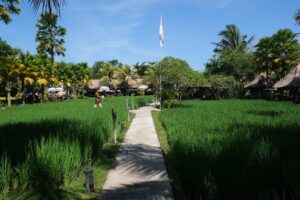 Bali Guide Indonesia