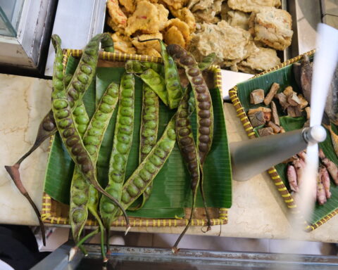 Petai Indonesia