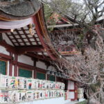 Dazaifu Tenmangu Shrine Japan