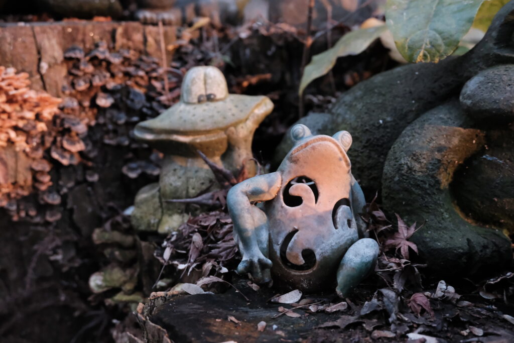 Nyoirinji Temple Fukuoka Japan