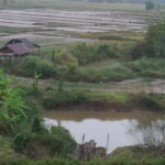 laos-china-railway-train