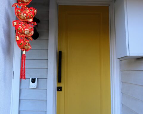 Chinese New Year Lunar New Year Fire Horse 2026