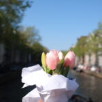 Amsterdam Netherlands Travel List