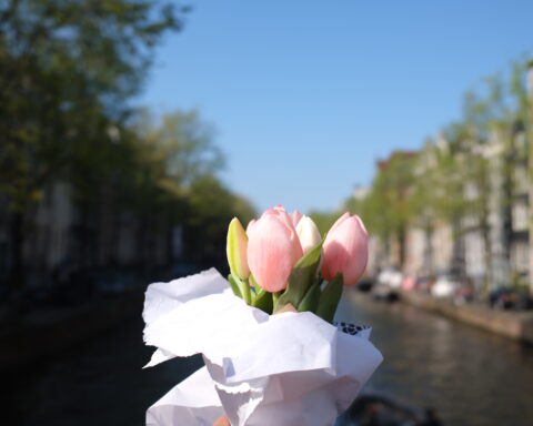 Amsterdam Netherlands Travel List
