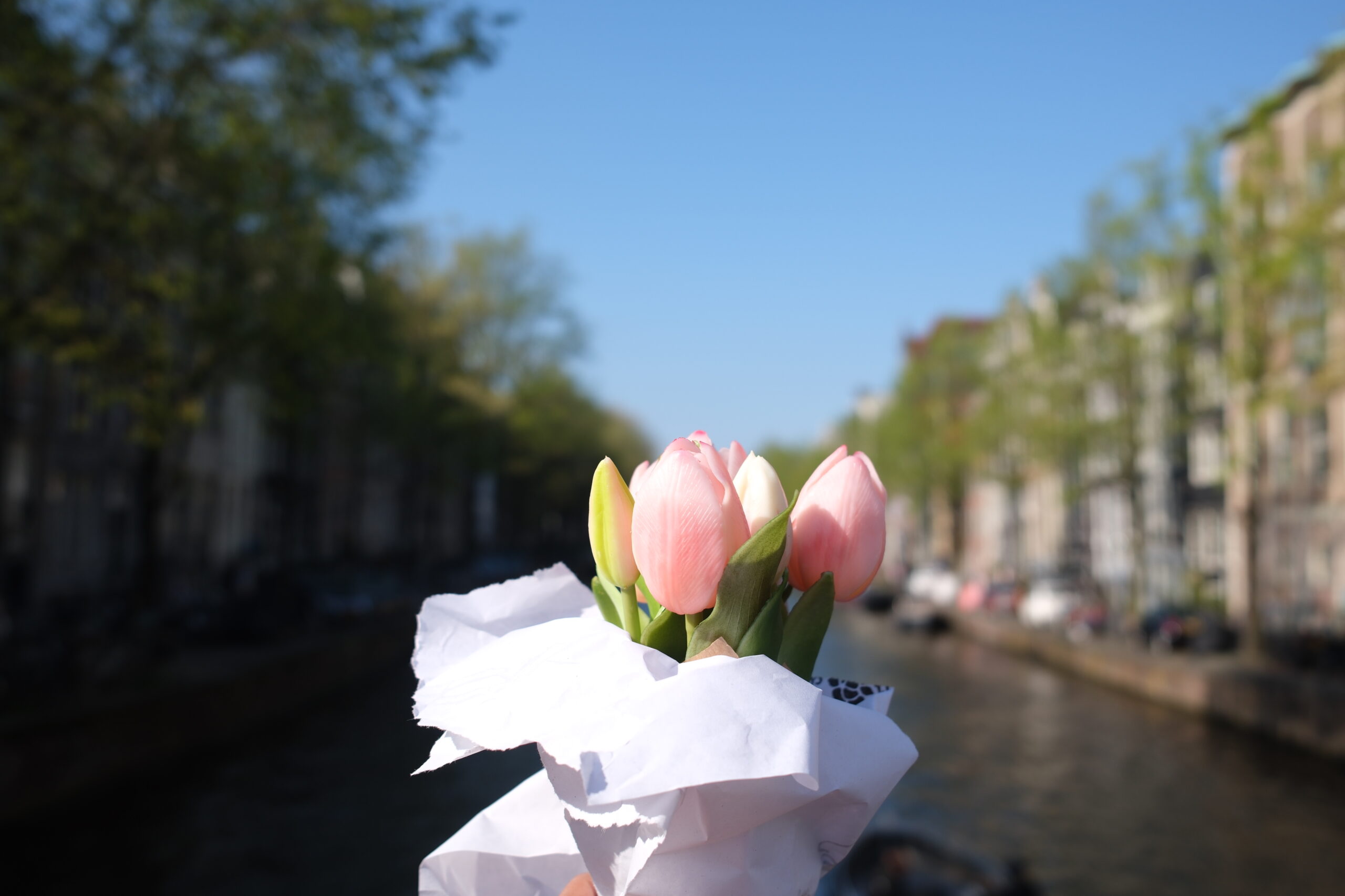 Amsterdam Netherlands Travel List