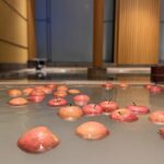 apple-bathing-aomori-apple-onsen