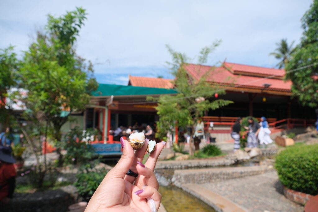 thaweesin-hot-spring-eggs-chiang-rai