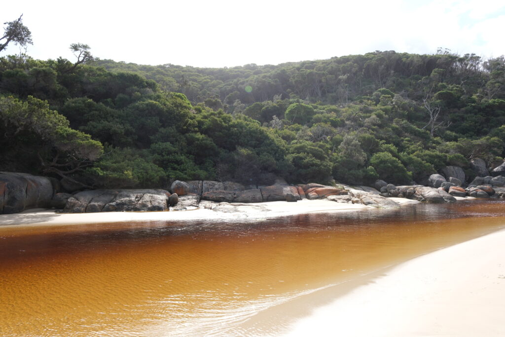 Tidal River wilsons-promontory-national-park-victoria-australia