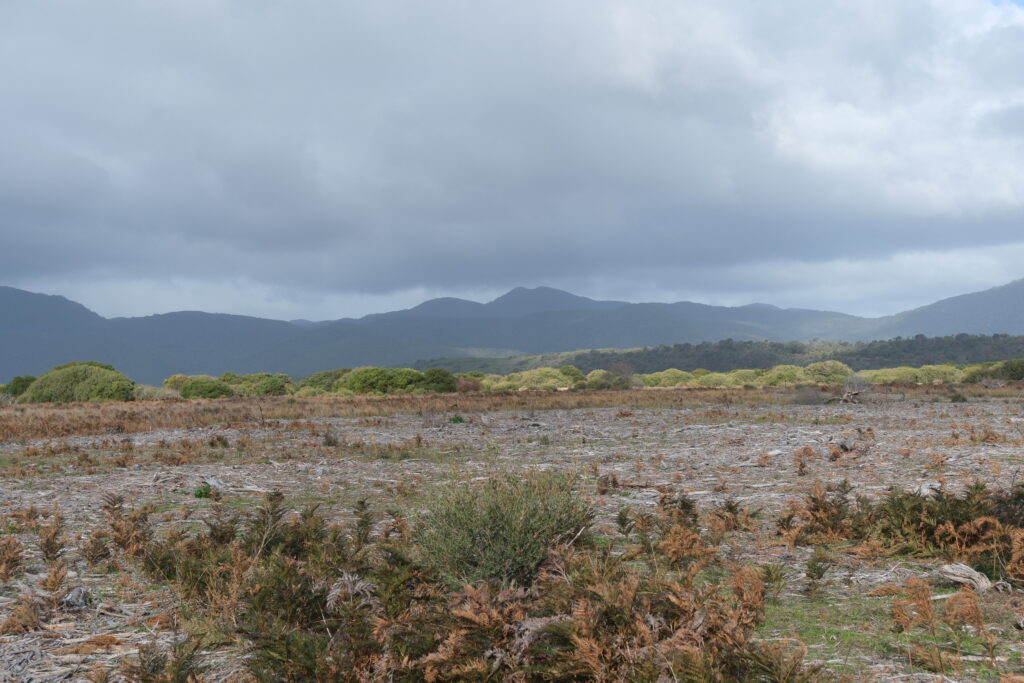 wilsons-promontory-national-park-victoria-australia