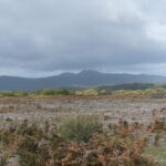wilsons-promontory-national-park-victoria-australia
