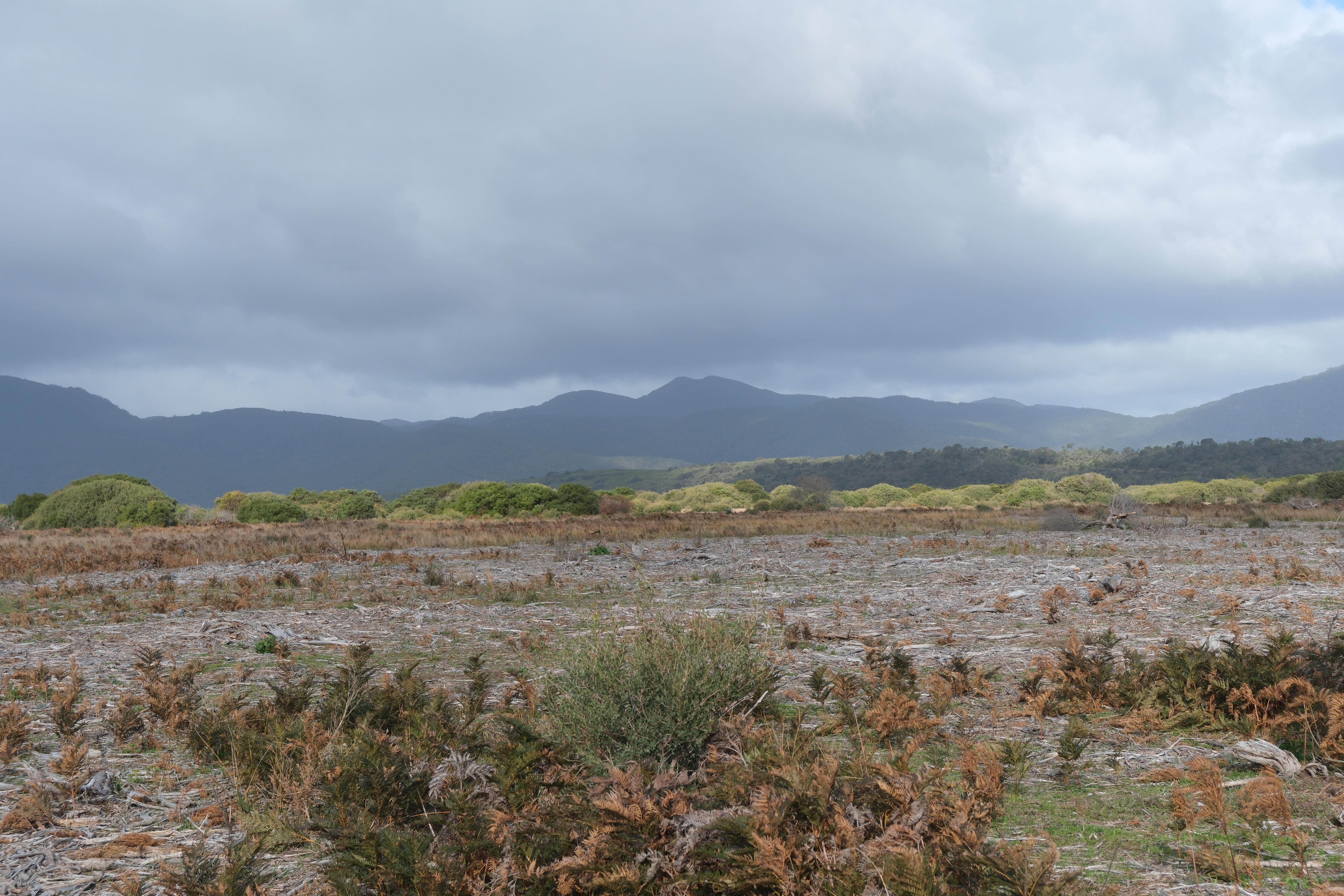 wilsons-promontory-national-park-victoria-australia