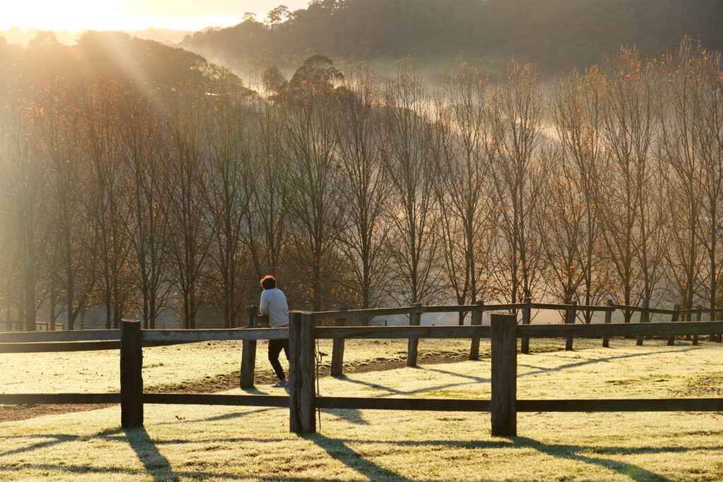alkira-yurt-dandenong-ranges