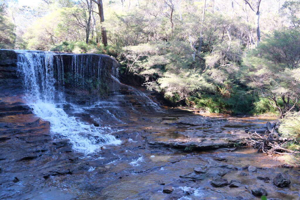 Wentworth Falls christmas-july-blue-mountains-nsw-australia