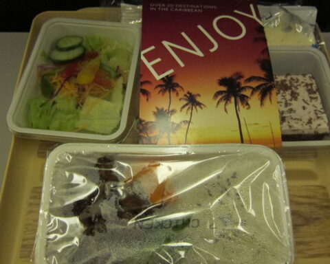 delta-air-lines-inflight-dining-tokyo-singapore