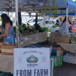 slofo-wefo-farmers-market